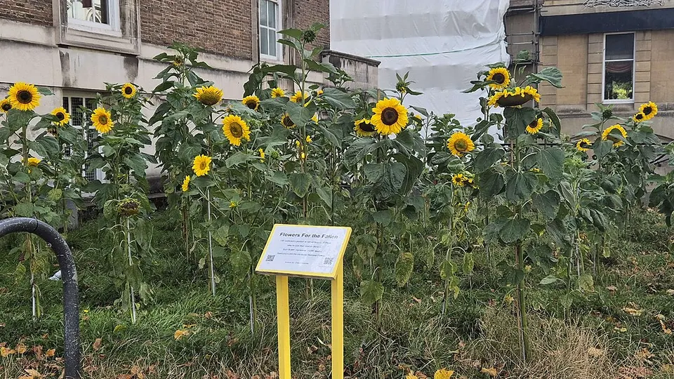 Bristol destination photo: 'Flowers for the Fallen' on Park Street, Bristol - August 2025