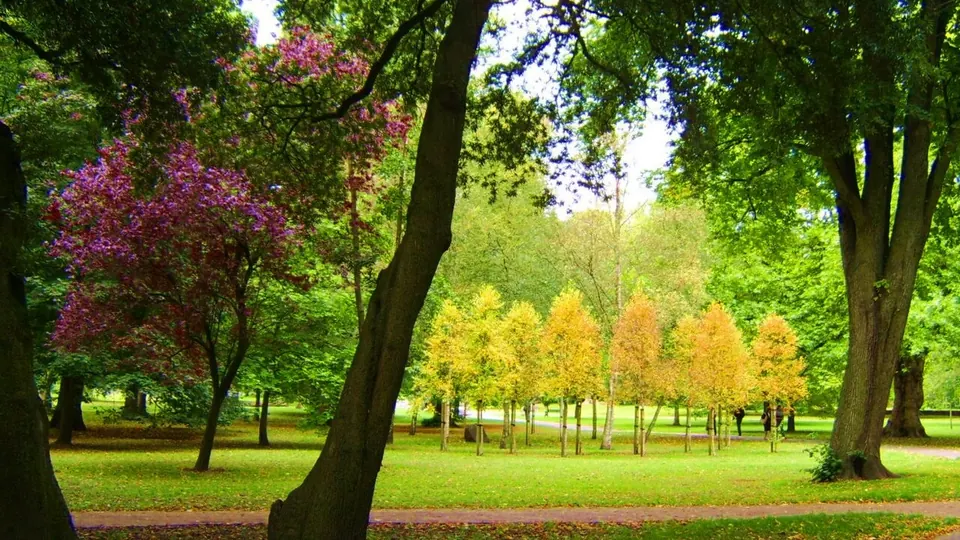 Cardiff destination photo: Bute Park, Cardiff