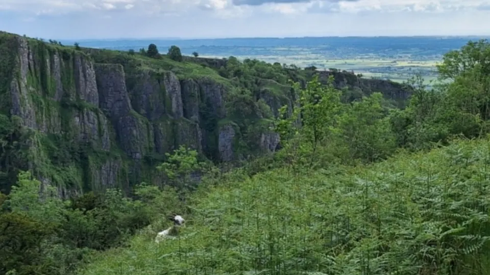 Cheddar Gorge destination photo: CheddarGorgeCliffsGoatView1