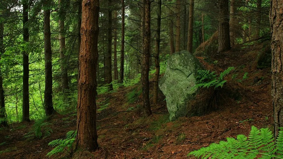 Hebden Bridge destination photo: Hardcastle Crags 1