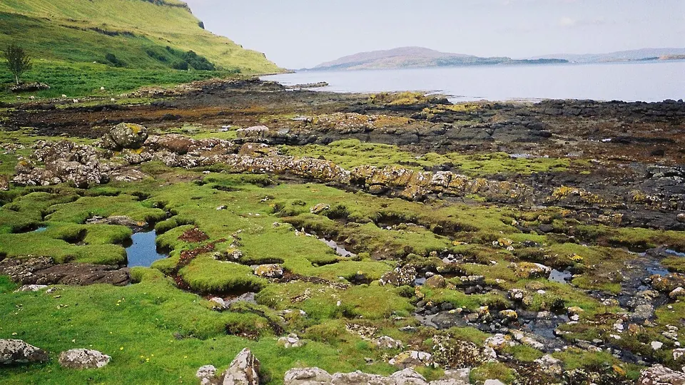 Isle of Mull destination photo: Scotland, argyll, isle of mull, loch na keal 37, westview at derryguaig