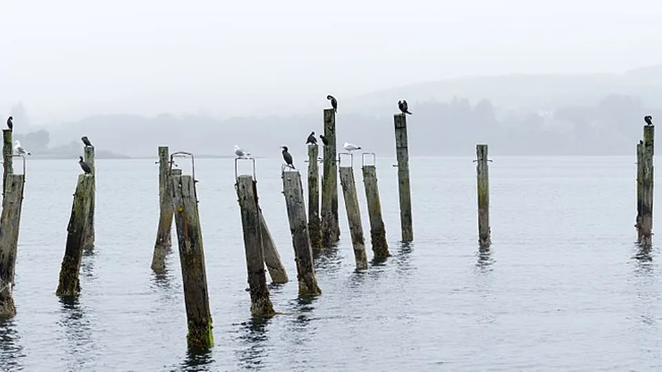 Isle of Mull destination photo: Old Pier, Salen, Isle of Mull