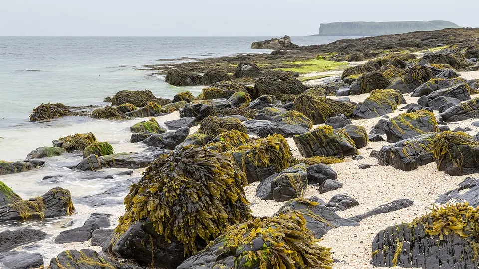 Isle of Skye destination photo: Claigan Coral Beaches, Isle of Skye