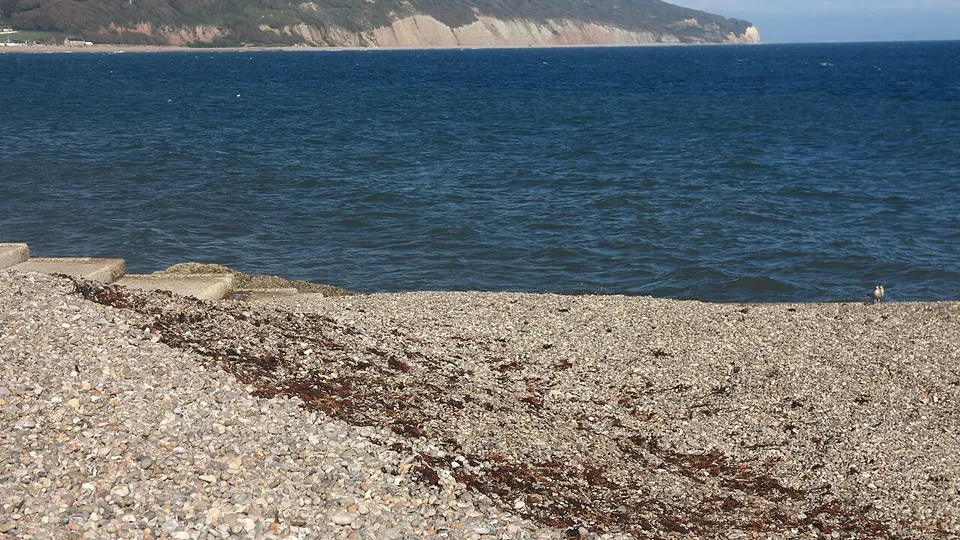 Jurassic Coast destination photo: Distant Jurassic Coast