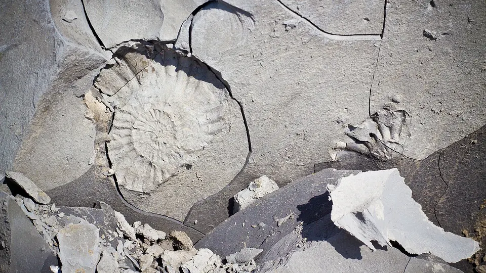 Jurassic Coast destination photo: Ammonite at Jurassic Coast, Golden Cap, Dorset -9329