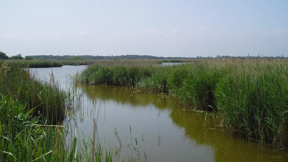 Norfolk Broads destination photo: Hickling Broad