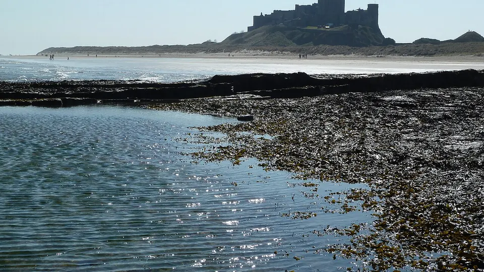 Northumberland and Bamburgh destination photo: Bamburgh - Bamburgh Castle - 20210419111330