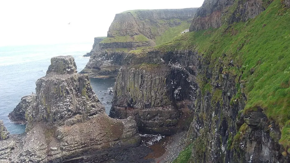 Rathlin Island destination photo: Rathlin Island Seabirds at West Lighthouse and Cliff