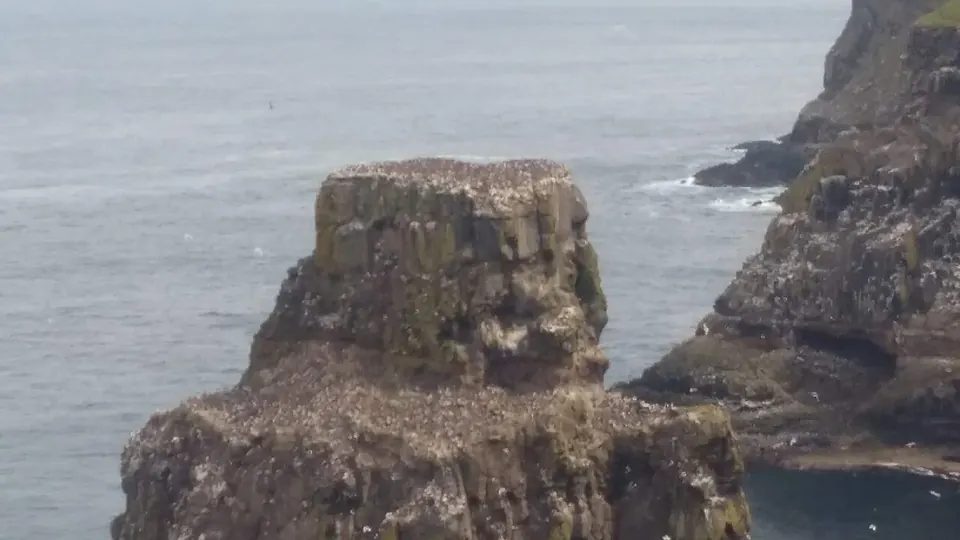 Rathlin Island destination photo: Rathlin Island Seabirds at West Lighthouse