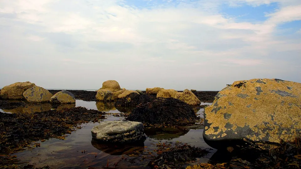 Robin Hoods Bay destination photo: Boggleholebeachrobinhoodsbay