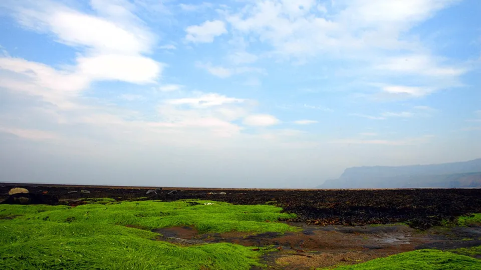 Robin Hoods Bay destination photo: Boggle Hole, Robin Hoods Bay (3548612051)