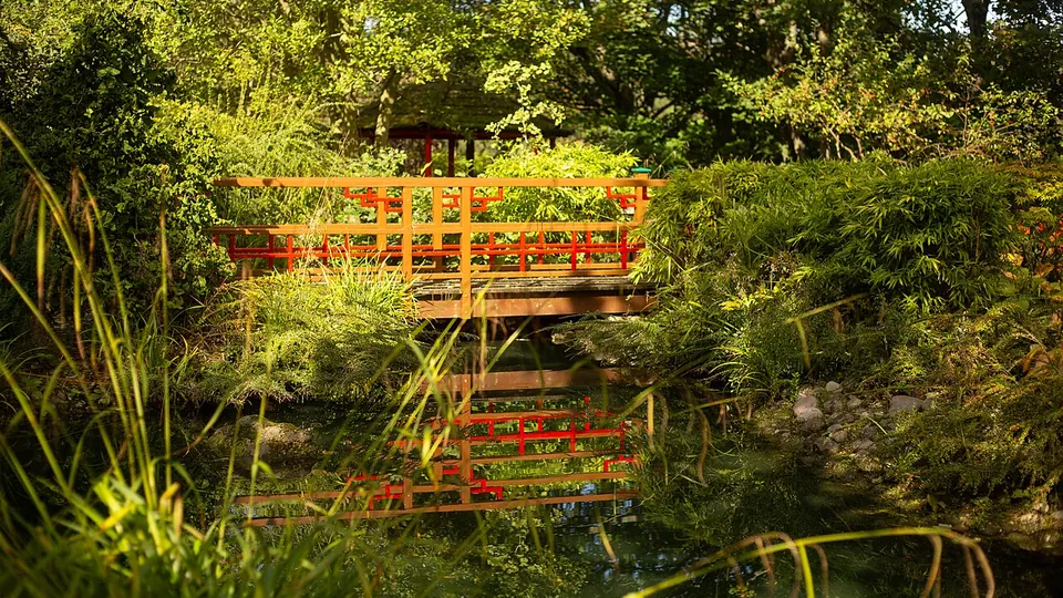Scarborough destination photo: Peasholm Park Japanese Garden bridge