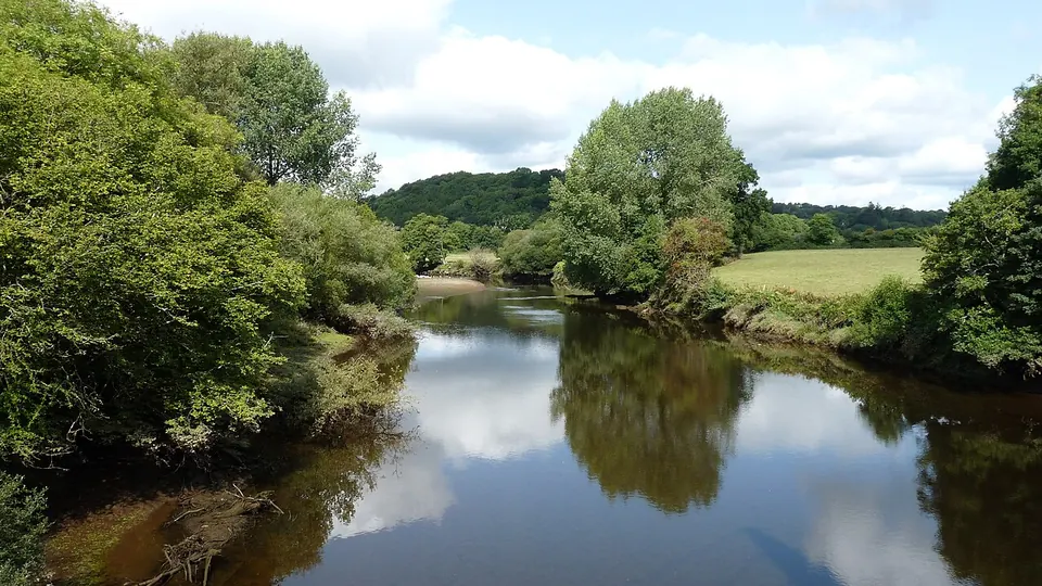 Totnes destination photo: Dart river by Totnes 1